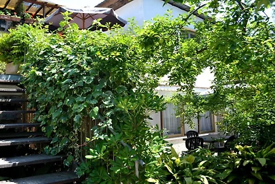 "EL" bij Casa Furrer