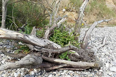 6 Personen Ferienhaus in Haderslev-By Traum