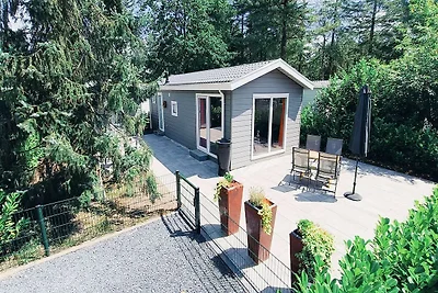 Unser wunderschönes neues Chalet Vogelzang fü...