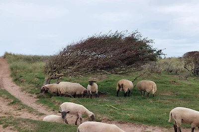 6 Personen Ferienhaus in Hjørring-By Traum