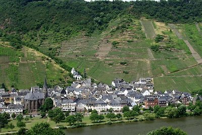 Braun Komfortable Ferienresidenz