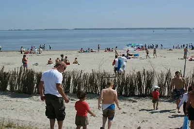 Hütte in Baarland mit Schwimmbecken