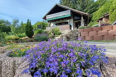 Ferienhaus in Oberschönau mit Bergblick