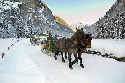 Apartment in Hüttau nahe Skigebiet