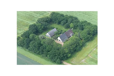 Ferienhaus mit 2 Schlafzimmer