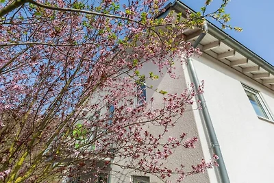 Zonnebloemen, terras en uitzicht op de Moezel