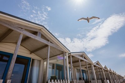 Strandlodge mit direktem Meerblick am Nordsee...