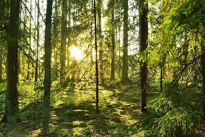 4 stelle case ad TÄVELSÅS