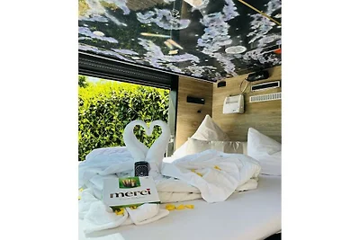 Glamping Wellness Lounge