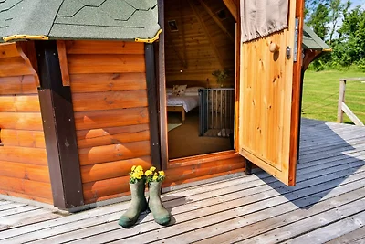 Milieuvriendelijk chalet in Okehampton, Geen...
