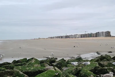 Appartement bij Koksijde aan Zee