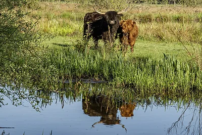 Helle Wohnung in Bree mit Terrasse
