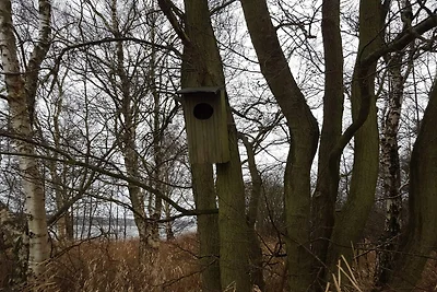 8 Personen Ferienhaus in Ebeltoft-By Traum