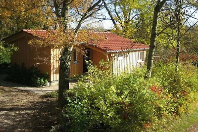 Vakantiehuis in Möhnesee met barbecue
