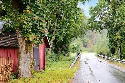 4 Sterne Ferienhaus in TVÅÅKER