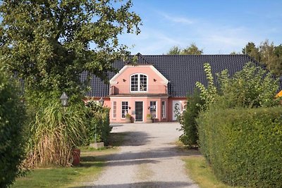 4 persoons vakantieparkhuis in Graested