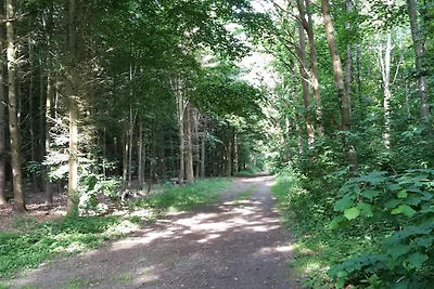 10 Personen Ferienhaus in Marstal-By Traum