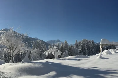 Fellhorn im Haus Narzisse