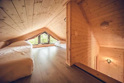 Modernes Chalet in Voorthuizen