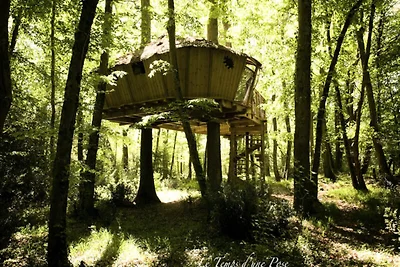 Schimpansenh�tte f�r 4 Personen