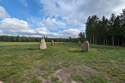 6 Personen Ferienhaus in Fårvang
