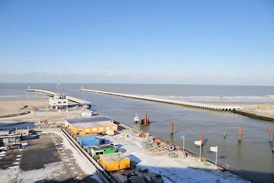 Studio in Nieuwpoort near Sandy Beaches