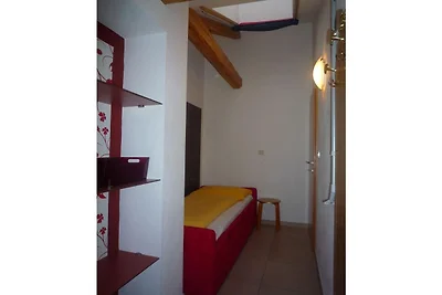 Araucaria in der Residence Braiter