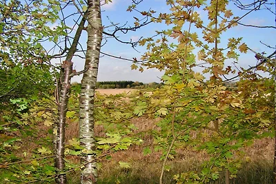 6 persone case ad Taastrup-By Traum