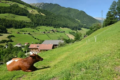 Rainer in der Baurschaft
