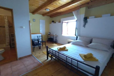 Studio Apartment with Terrace