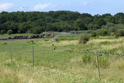6 Personen Ferienhaus in Bagenkop