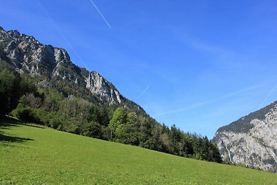 Ferienwohnung in der Steiermark mit...