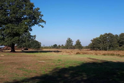 Huisje in Veluwe bij Hoge Veluwe Park