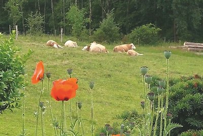 Appartamento vicino alla foresta a Mark