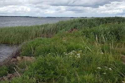 Kustenserene in Jaegerspris-By Traum