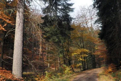 Pensión Bergblick