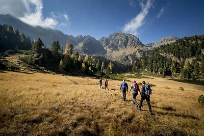 Grazioso chalet con vasca idromassaggio
