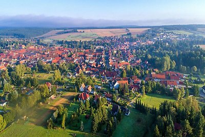 Doppelhaushälfte in Hasselfelde-ehem. TUI