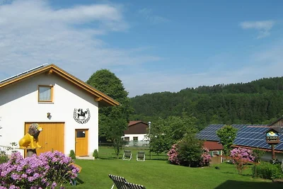 Ferienhaus in Miltach mit Schwimmbecken