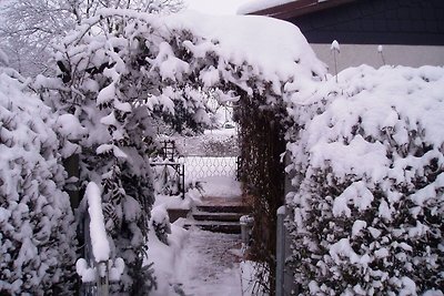 Garden (winter)