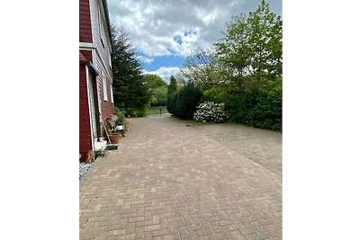 Sperling im Haus Tanneneck