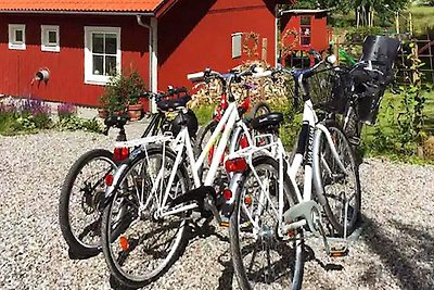 4 Sterne Ferienhaus in ADELSÖ