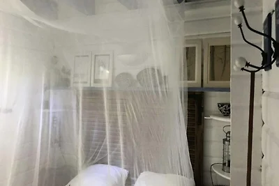 Huis in dennenbos met omheinde tuin