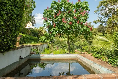 Accogliente casa colonica con piscina a...