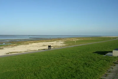 Lütje Carolinensiel Harlesiel