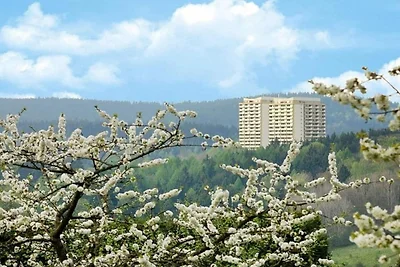FeWo 416, Panoramic, Braunlage
