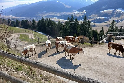 Apartament w Mittersill blisko wyciągu