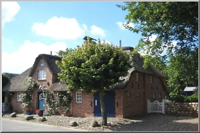 Ferienhaus in Föhr mit 2 Schlafzimmer