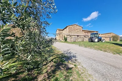 Herrlicher Urlaub in Montalcino mit...