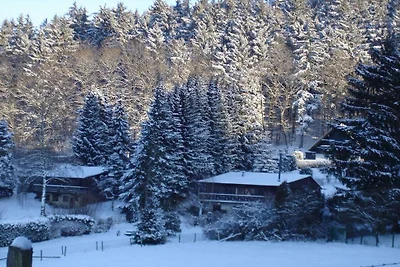 Vakantiehuis in de Eifel met 3 slaapkamers